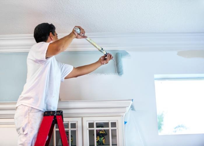 Professional Painter Rochester Minnesota