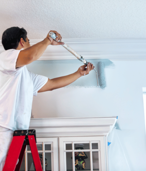 Professional Painting Services - Rochester MN